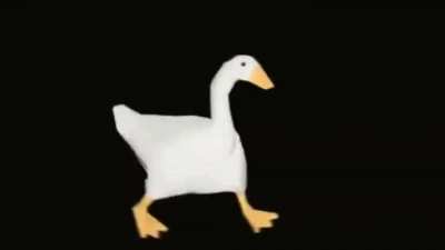 F O D A S E (aviso: o video a seguir contem imagens piscando, se vc &eacute; epil&eacute;tico, v&ecirc; n&atilde;o arrombado)
