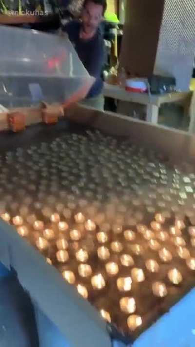Candles Vs Co2