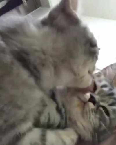 Let me clean you up... Omg you are so cute, I want to bite you