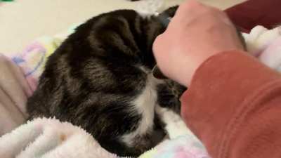 Sleep well, Tiberius