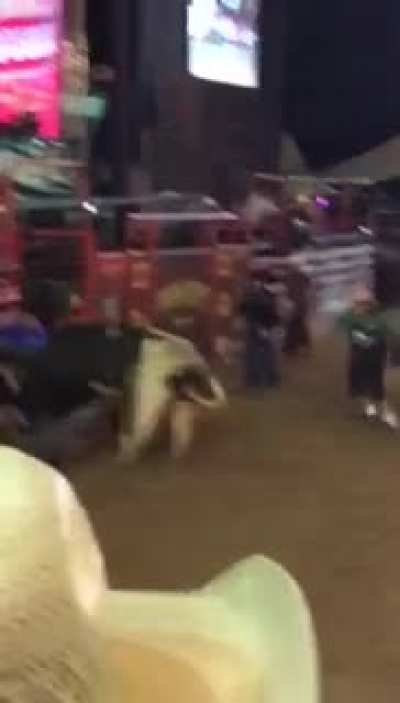 Bull doesn&rsquo;t like to be ridden