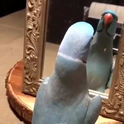 What u doing?