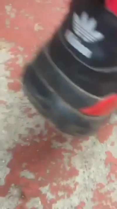 T&ecirc;nis original