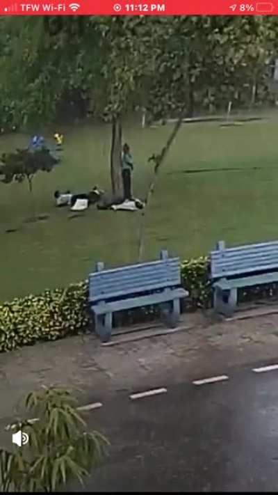 Should never stand under a tree during a thunderstorm!