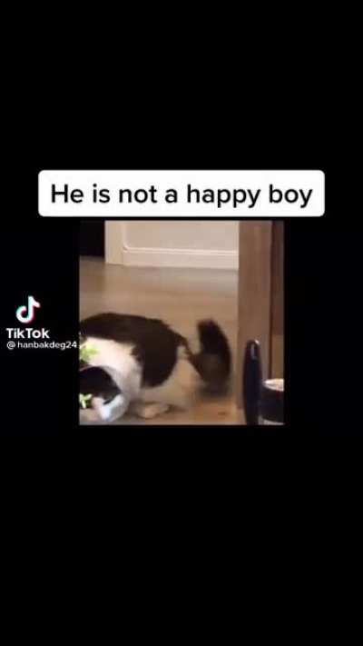 He&rsquo;s not a happy boy