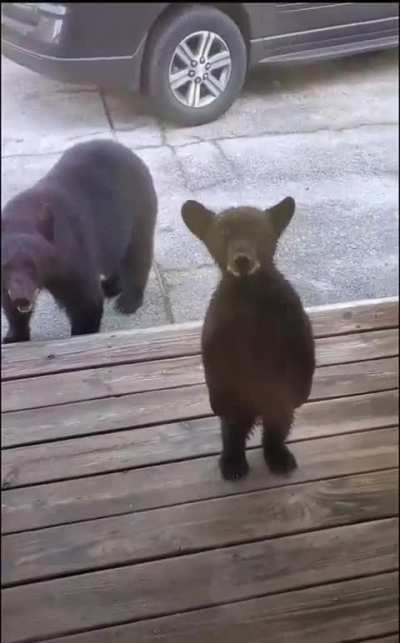 He is very curious.