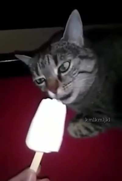 He SCREAM (This is loud. You have been warned)