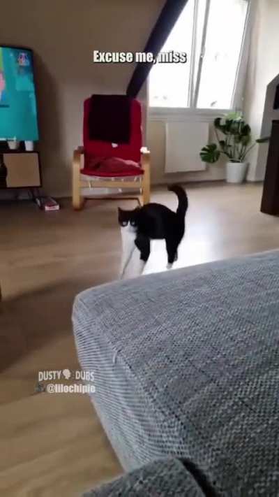 Maybe maybe maybe