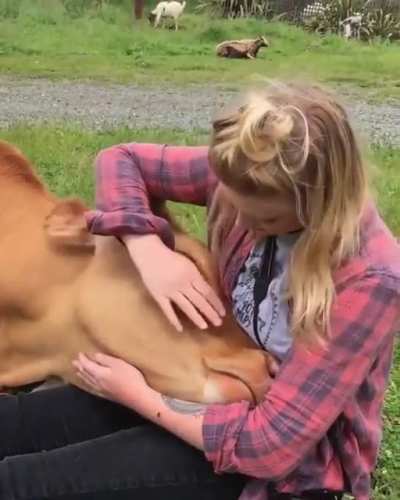 What a Big boi