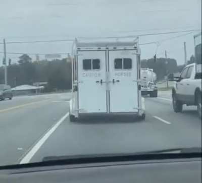 Caution Horses