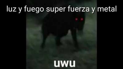 XD
