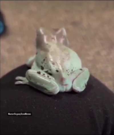maybe maybe maybe