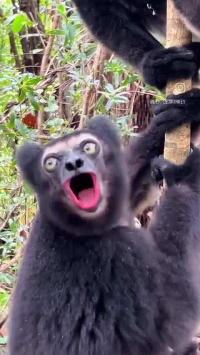 eeeee