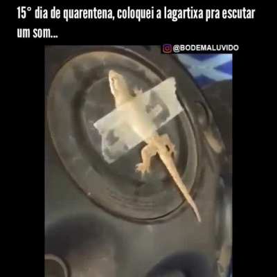 Por que n&atilde;o fazer-mos este teste em v&iacute;deo Renan?
