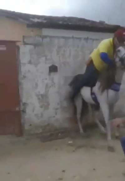 ESTILOZAP - Video #8407