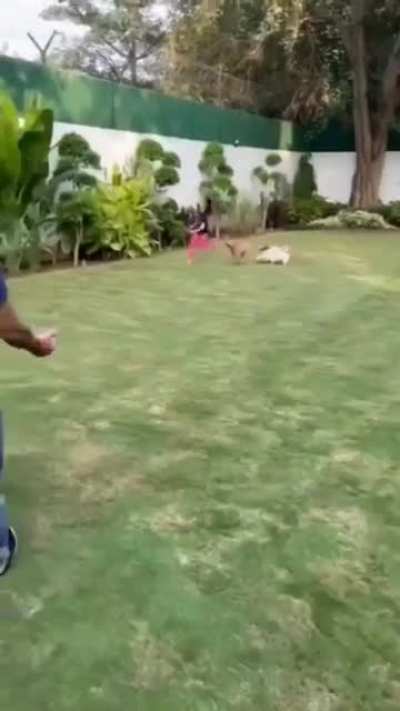 ploxxx Gambhir 😭😭😭😭