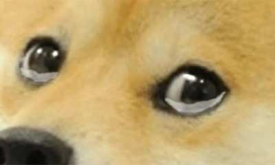 I&rsquo;m heartbroken w/ this community over the last couple of days. The amount of negative post is disheartening. Positive Vibes only Shibs! Keep loving DOGE! Keep HODL!