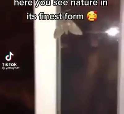 nature 🥰