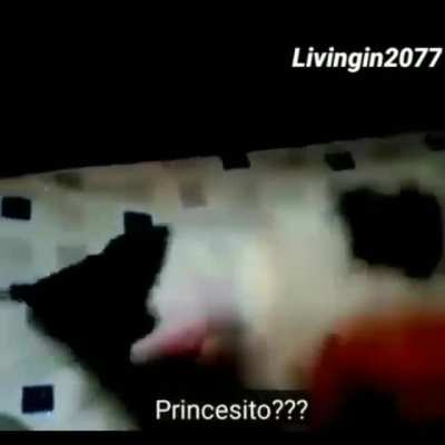 Pricesito