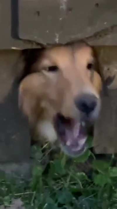 Full Aaaaaaaarrrrgh