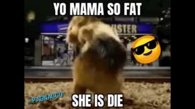 Your mom is obese