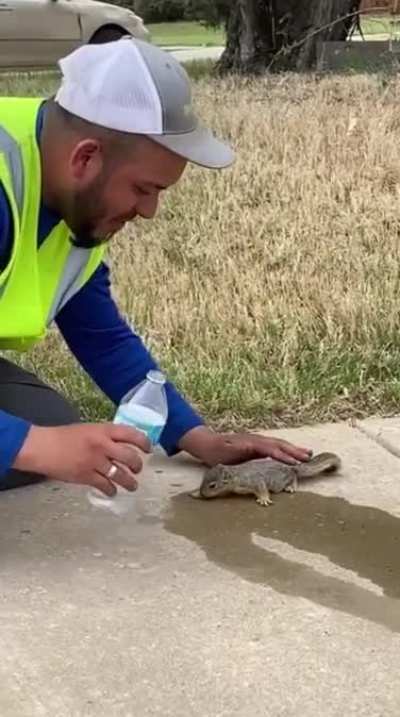 Making a friend