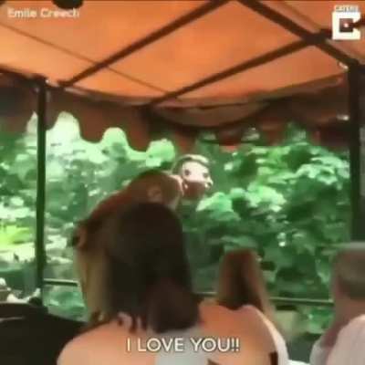 i love you
