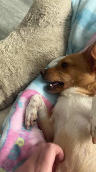 This is her smiling 