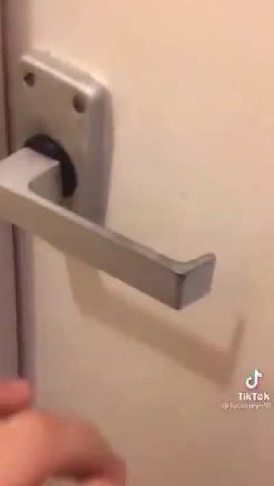 Yo what the fu- holy shit