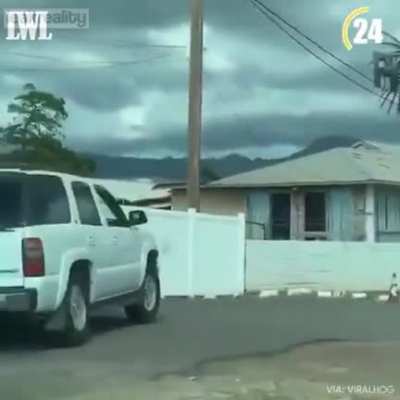 My tire people need me
