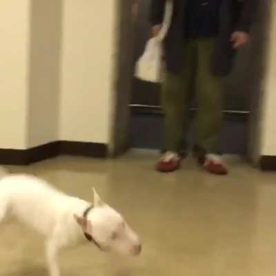 He can&rsquo;t stop spinning!