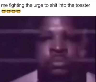 The Fight