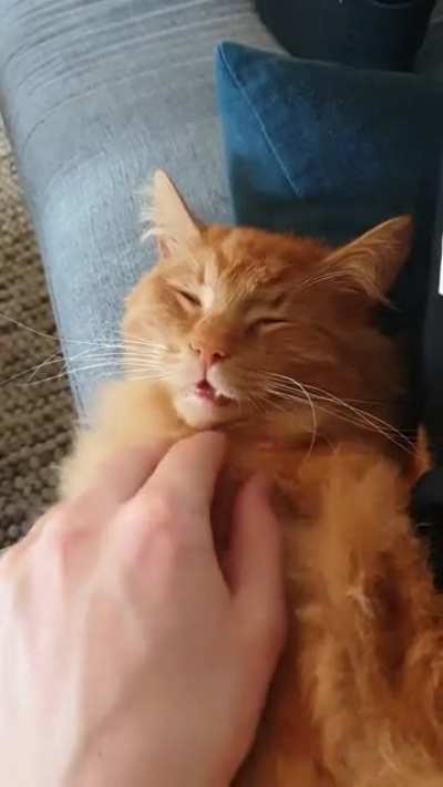 Enjoing some R&amp;amp;R after beeing outside all night