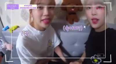 Chaewon &amp;amp; Yena imitating the stuffed poodle