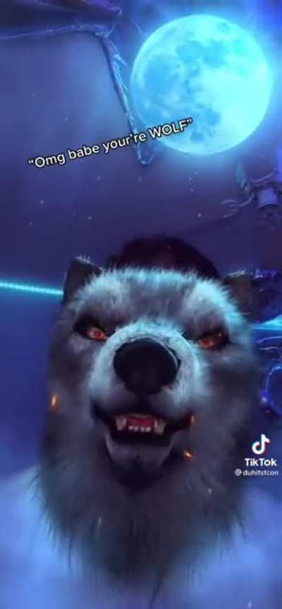 OMG A WOLF 🐺 😍 🤭😱😱😱😱😱😱😱😱😱😱