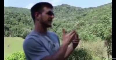 Podemos dizer que essa foi a melhor epoca do canal? (Cr&eacute;dito de quem fez na imagem)