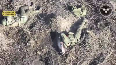 The Strike Drones Company of the 47th Separate Mechanized Brigade "Magura" destroy a russian squad with fpv drones. (Brutal, gore, limbs lost)