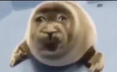 Yanks (me) when you tell us to get out