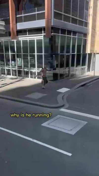 nonononoyes