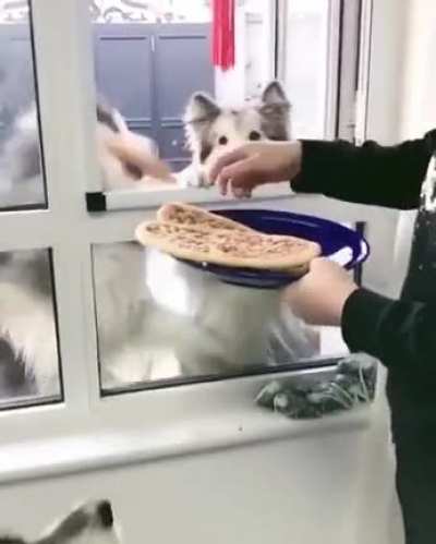&Ntilde;am &ntilde;am &ntilde;am