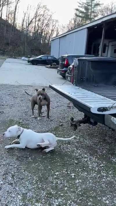 Epic Fail&hellip; but he&rsquo;s a tough boy