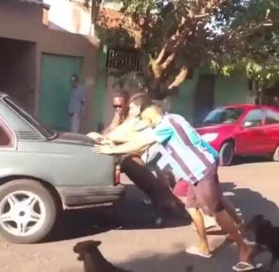 Olha a for&ccedil;a do cachorro