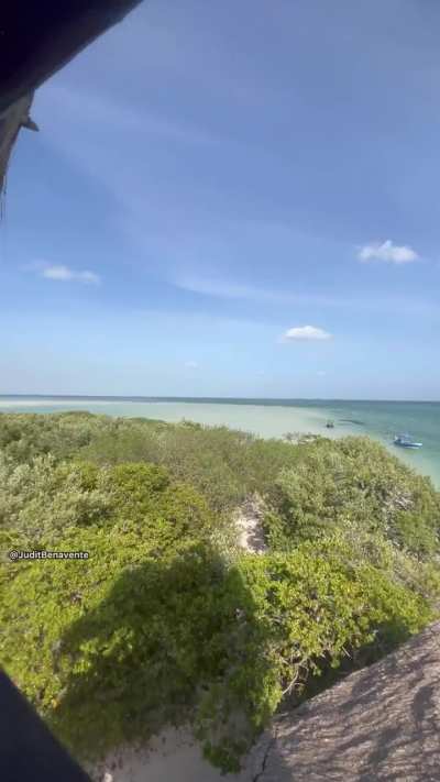 Me gustan las vistas de isla pasi&oacute;n 🌴