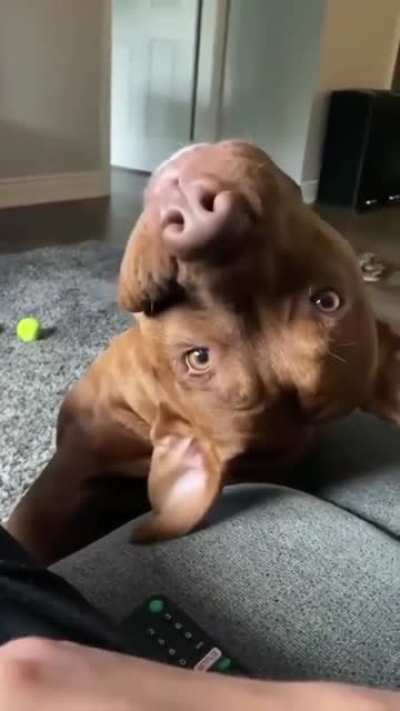 Oh hello there