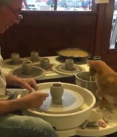 Pawttery