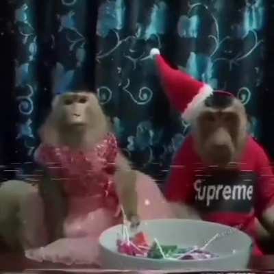 Monkey Christmas
