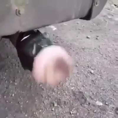 Peida n&atilde;o sherekinha