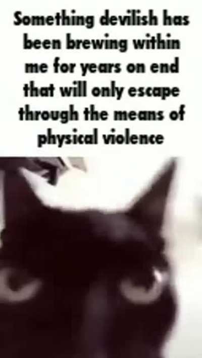 cat 👍