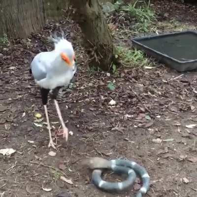 O cara j&aacute; chega com dois p&eacute;s no peito