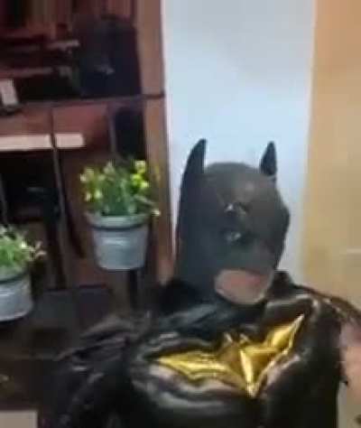 Batman Machirulo